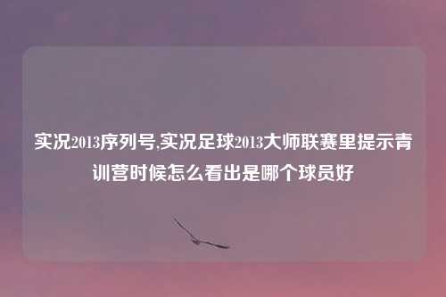 实况2013序列号,实况足球2013大师联赛里提示青训营时候怎么看出是哪个球员好