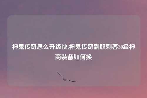 神鬼传奇怎么升级快,神鬼传奇副职刺客30级神商装备如何换
