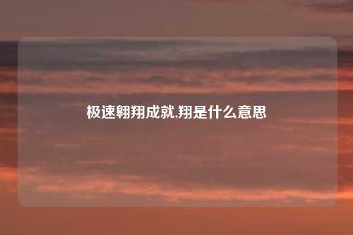 极速翱翔成就,翔是什么意思