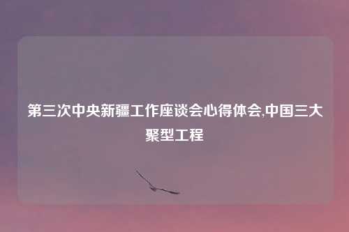 第三次中央新疆工作座谈会心得体会,中国三大聚型工程