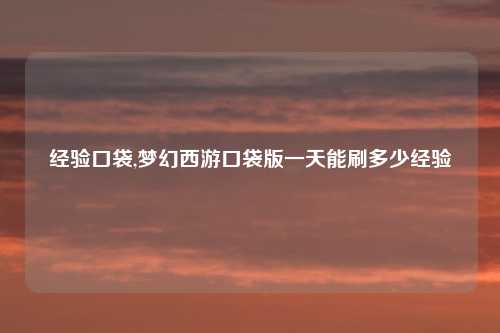 经验口袋,梦幻西游口袋版一天能刷多少经验