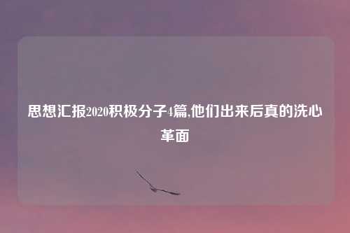 思想汇报2020积极分子4篇,他们出来后真的洗心革面