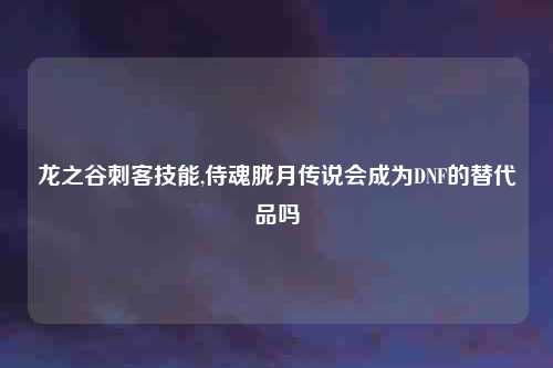 龙之谷刺客技能,侍魂胧月传说会成为DNF的替代品吗