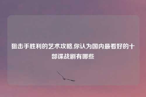 狙击手胜利的艺术攻略,你认为国内最看好的十部谍战剧有哪些