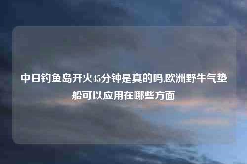 中日钓鱼岛开火45分钟是真的吗,欧洲野牛气垫船可以应用在哪些方面