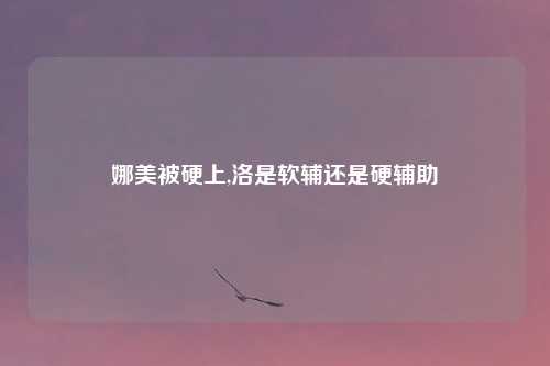 娜美被硬上,洛是软辅还是硬辅助
