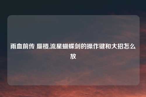 雨血前传 蜃楼,流星蝴蝶剑的操作键和大招怎么放