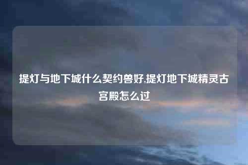 提灯与地下城什么契约兽好,提灯地下城精灵古宫殿怎么过