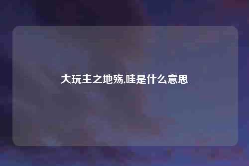 大玩主之地殇,哇是什么意思