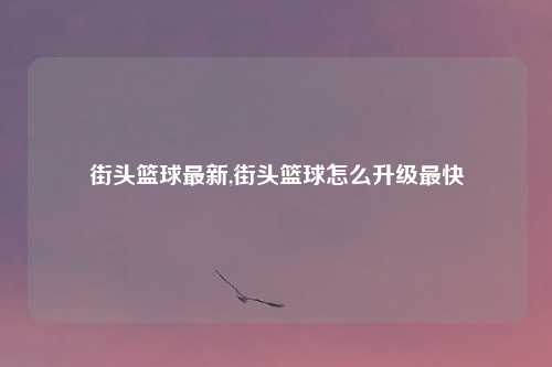 街头篮球最新,街头篮球怎么升级最快