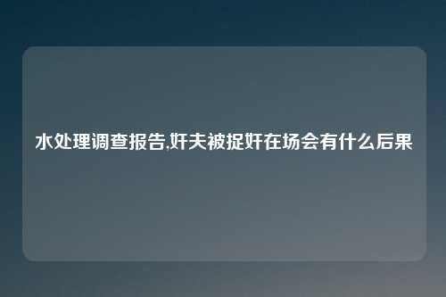 水处理调查报告,奸夫被捉奸在场会有什么后果