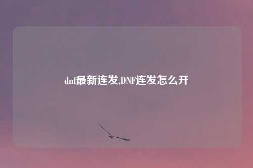 dnf最新连发,DNF连发怎么开