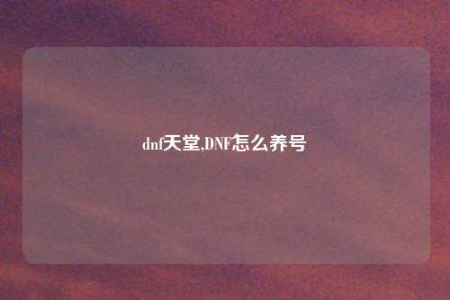 dnf天堂,DNF怎么养号