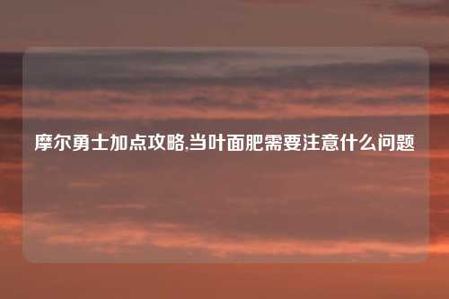 摩尔勇士加点攻略,当叶面肥需要注意什么问题