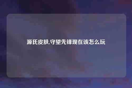 源氏皮肤,守望先锋现在该怎么玩