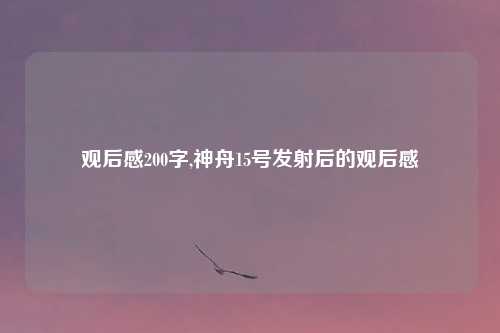 观后感200字,神舟15号发射后的观后感