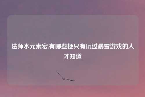 法师水元素宏,有哪些梗只有玩过暴雪游戏的人才知道