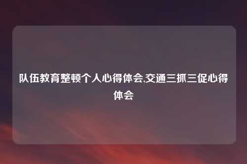 队伍教育整顿个人心得体会,交通三抓三促心得体会