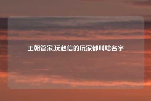 王朝管家,玩赵信的玩家都叫啥名字