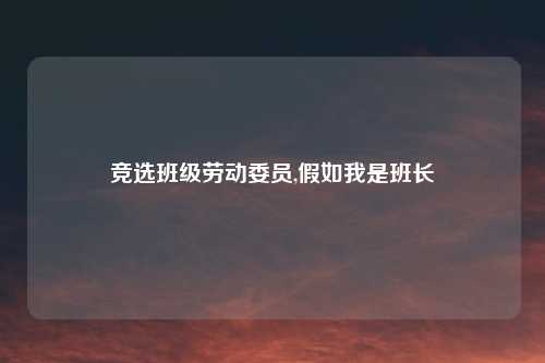 竞选班级劳动委员,假如我是班长