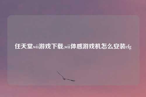 任天堂wii游戏下载,wii体感游戏机怎么安装cfg