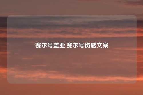 赛尔号盖亚,赛尔号伤感文案