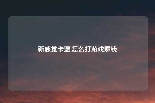 新感觉卡盟,怎么打游戏赚钱