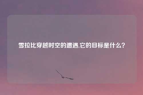 雪拉比穿越时空的遭遇,它的目标是什么?