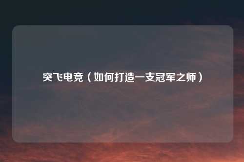 突飞电竞（如何打造一支冠军之师）
