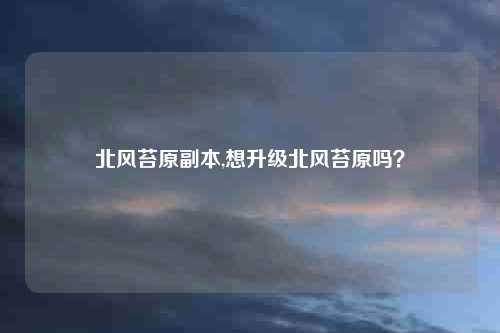 北风苔原副本,想升级北风苔原吗？