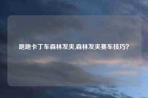 跑跑卡丁车森林发夹,森林发夹赛车技巧？