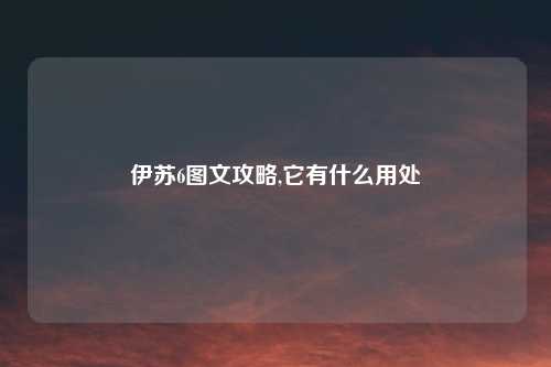 伊苏6图文攻略,它有什么用处