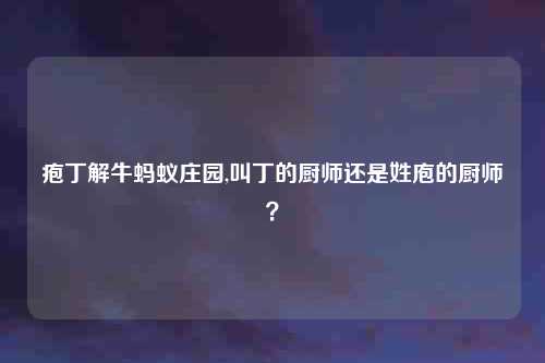 疱丁解牛蚂蚁庄园,叫丁的厨师还是姓庖的厨师？