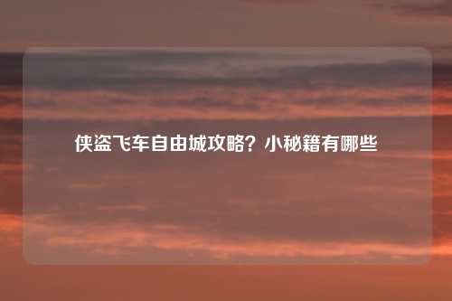 侠盗飞车自由城攻略？小秘籍有哪些