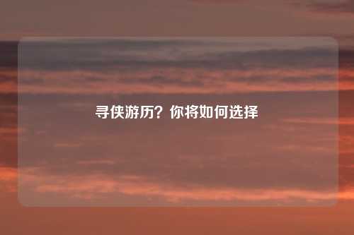 寻侠游历？你将如何选择