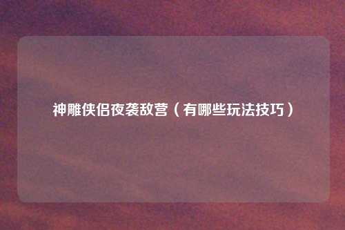 神雕侠侣夜袭敌营（有哪些玩法技巧）