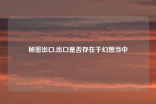 秘密出口,出口是否存在于幻想当中
