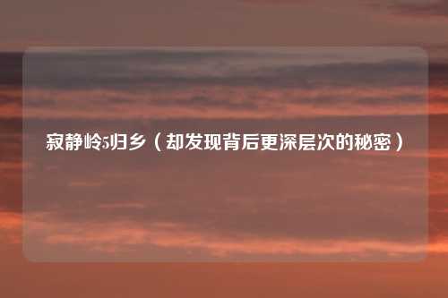 寂静岭5归乡（却发现背后更深层次的秘密）