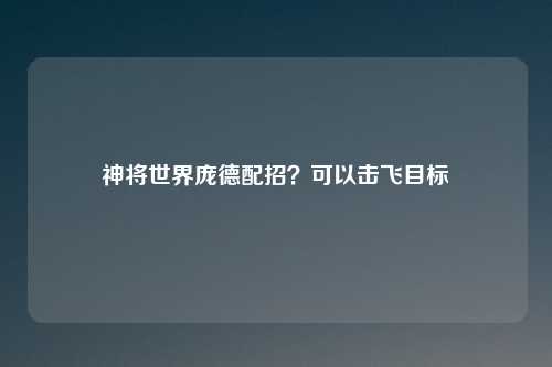 神将世界庞德配招？可以击飞目标