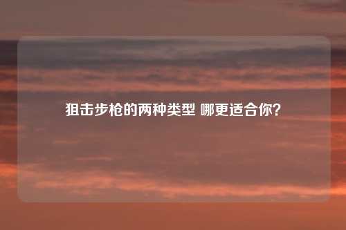 狙击步枪的两种类型 哪更适合你？