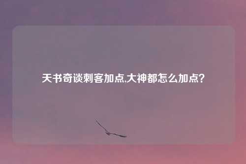 天书奇谈刺客加点,大神都怎么加点？