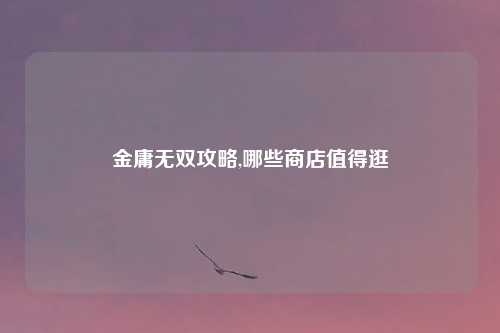 金庸无双攻略,哪些商店值得逛
