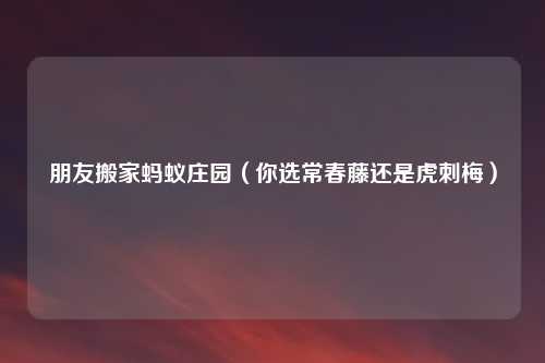 朋友搬家蚂蚁庄园（你选常春藤还是虎刺梅）
