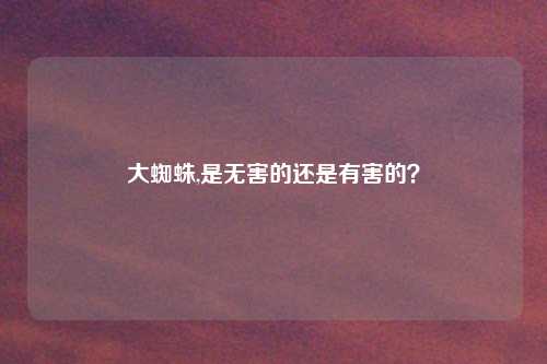 大蜘蛛,是无害的还是有害的？