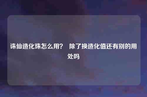 诛仙造化珠怎么用？  除了换造化值还有别的用处吗