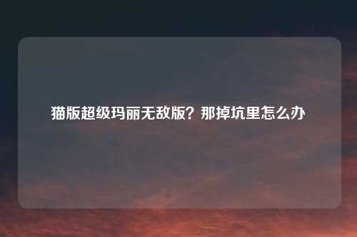 猫版超级玛丽无敌版?那掉坑里怎么办