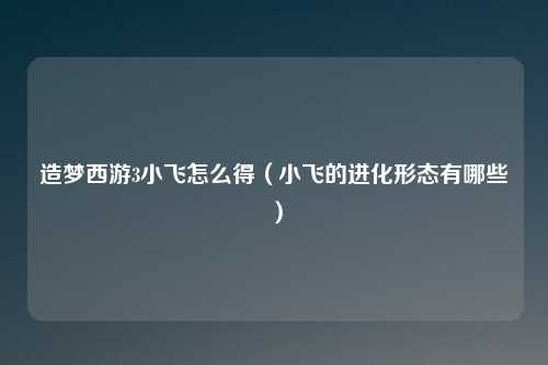 造梦西游3小飞怎么得（小飞的进化形态有哪些）