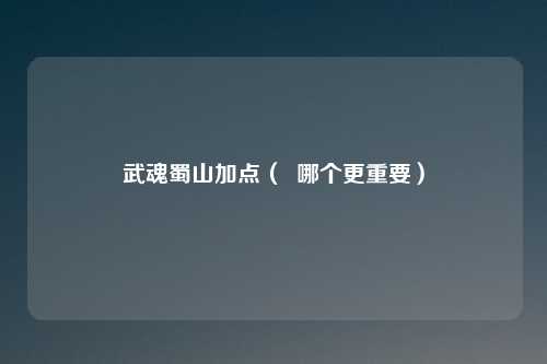 武魂蜀山加点（  哪个更重要）