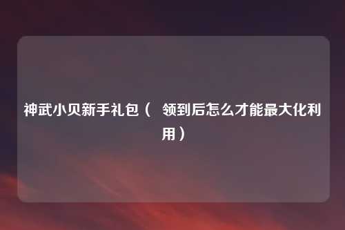 神武小贝新手礼包（  领到后怎么才能最大化利用）