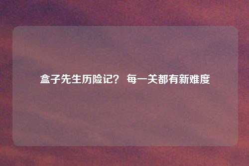 盒子先生历险记？ 每一关都有新难度